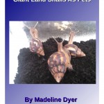Giant Land Snails As Pets (Mad On Animals #2)