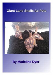 Giant Land Snails As Pets