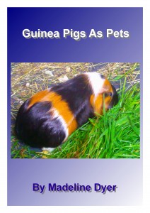 Guinea Pigs As Pets