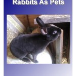 Rabbits As Pets (Mad On Animals #3)