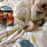 Meet the pets who are reading UNTAMED!